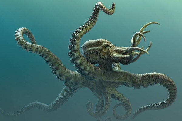 Кракен онион kraken dark link